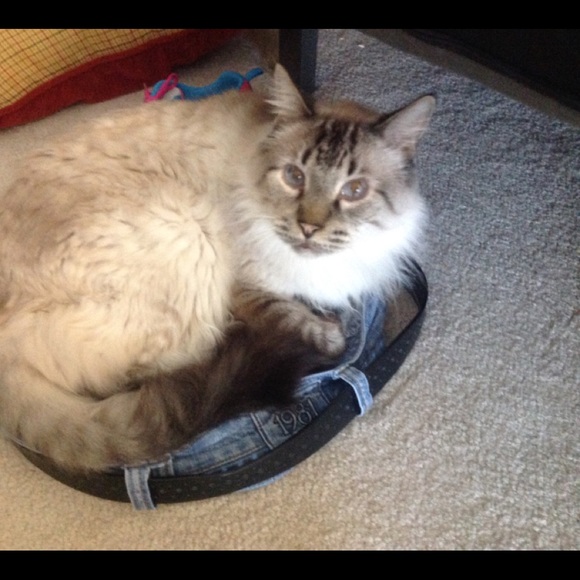 Meet your Posher, DJ - Picture 5 of 8